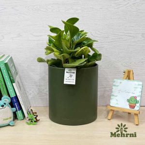 گلدان استوانه ای 103/17.5B