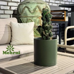 103.20b.green.nazari