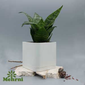 گلدان مکعبی دهنه 15 سانتیمتر (کد 104/15)