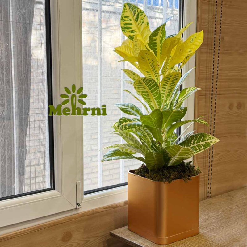Cubic pot 20 cm opening (code 104/20B)