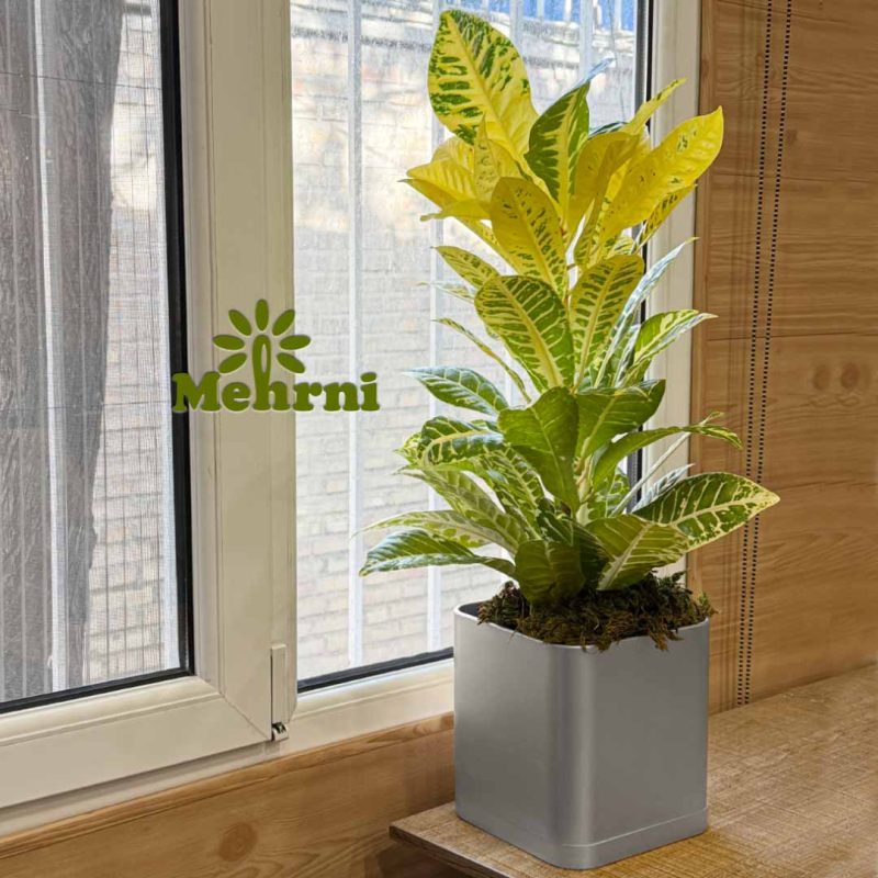 Cubic pot 20 cm opening (code 104/20B)