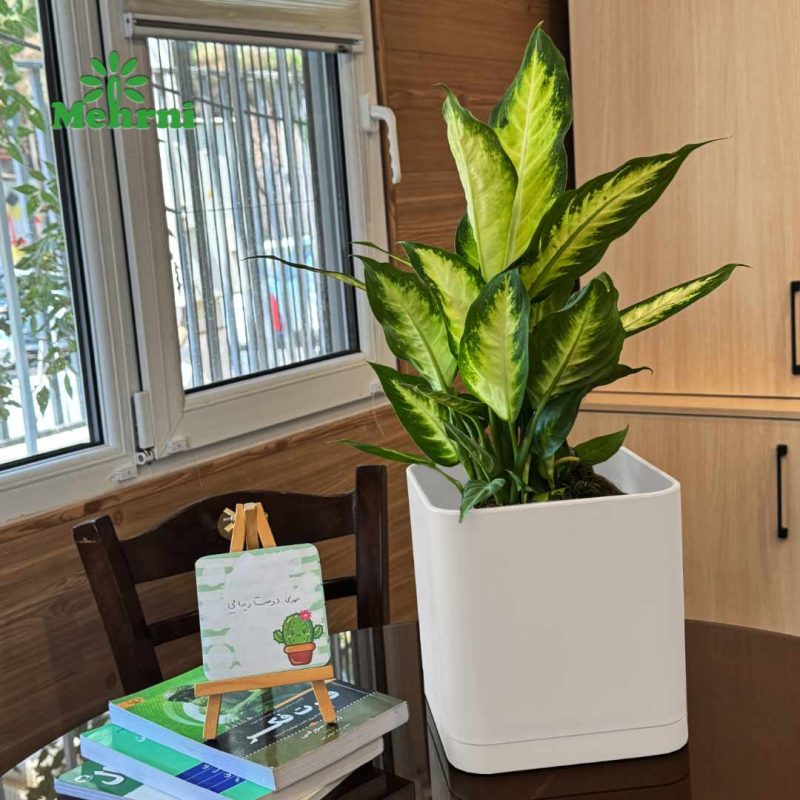 Cubic pot 20 cm opening (code 104/20B)