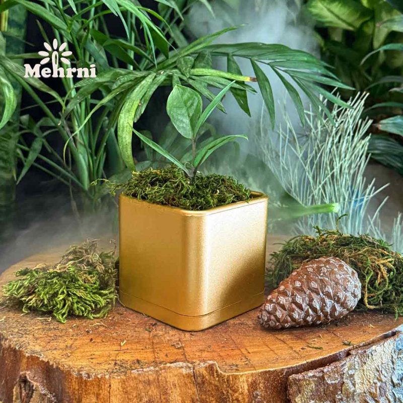 Cube pot, 10 cm opening (Code 104/10)