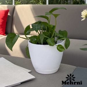 گلدان گرد منحنی میکا 101/12.5