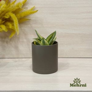 Cylindrical Planter, 10 cm Opening (103/10B)
