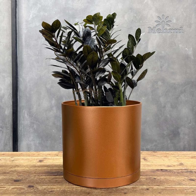 Mica Cylinder Pot 103/20