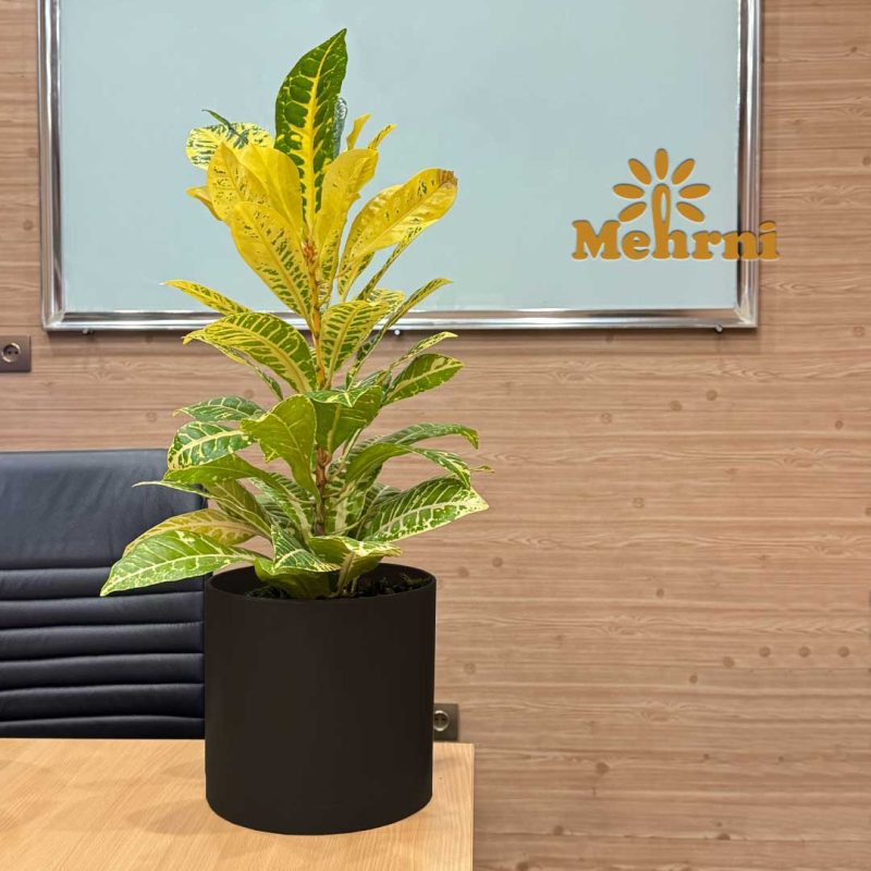 Mica Cylindrical Pot 103/25