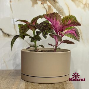 گلدان بنسای بلند دهنه 25 سانتیمتر(کد 153/25)