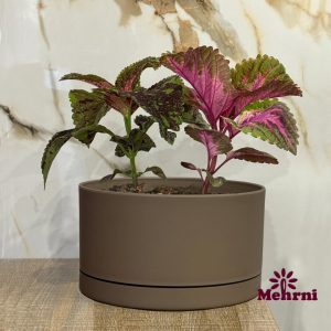 گلدان بنسای بلند دهنه 30 سانتی متر (مدل 153/30)