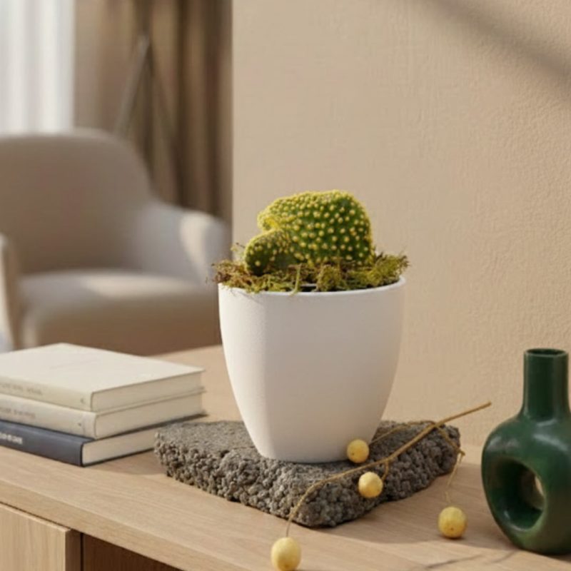Curved Round Pot 101/15