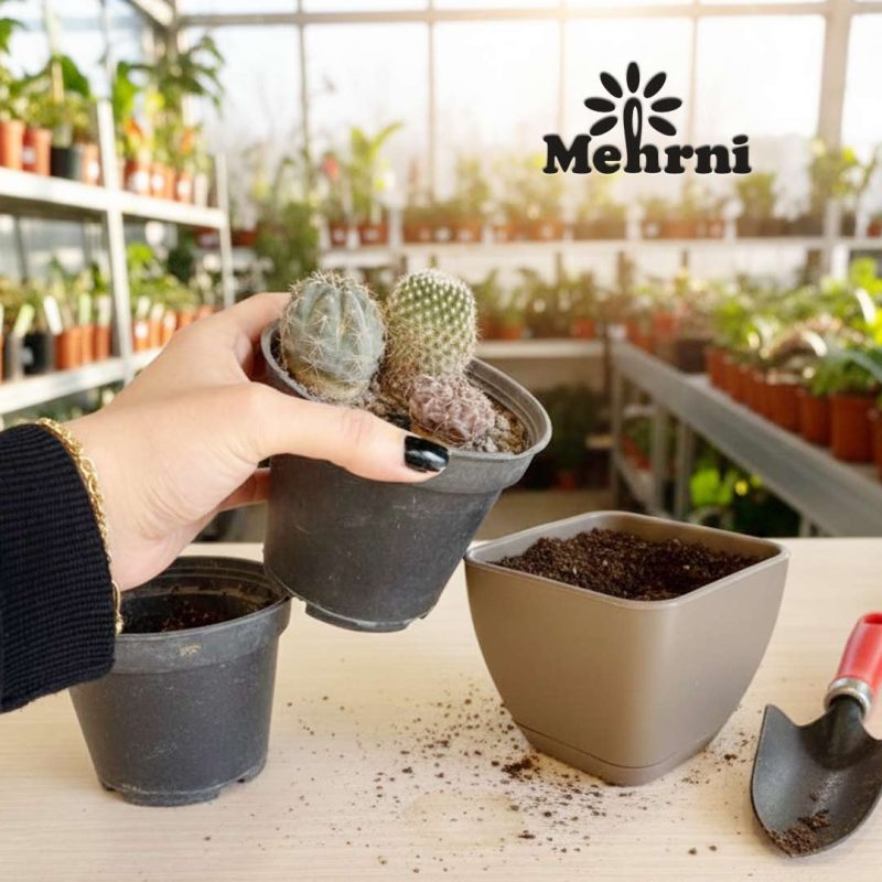 Curved Cube Planter Code 102/10