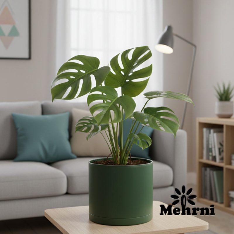 Cylindrical Planter, 20 cm Opening (103/20B)