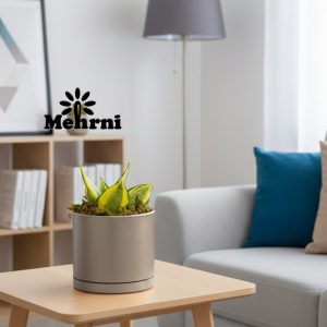 گلدان استوانه میکا دهنه 15 سانتیمتر (103/15)