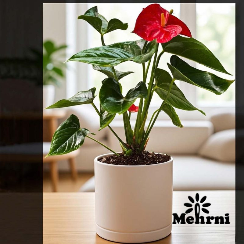 Cylindrical Planter, 20 cm Opening (103/20B)
