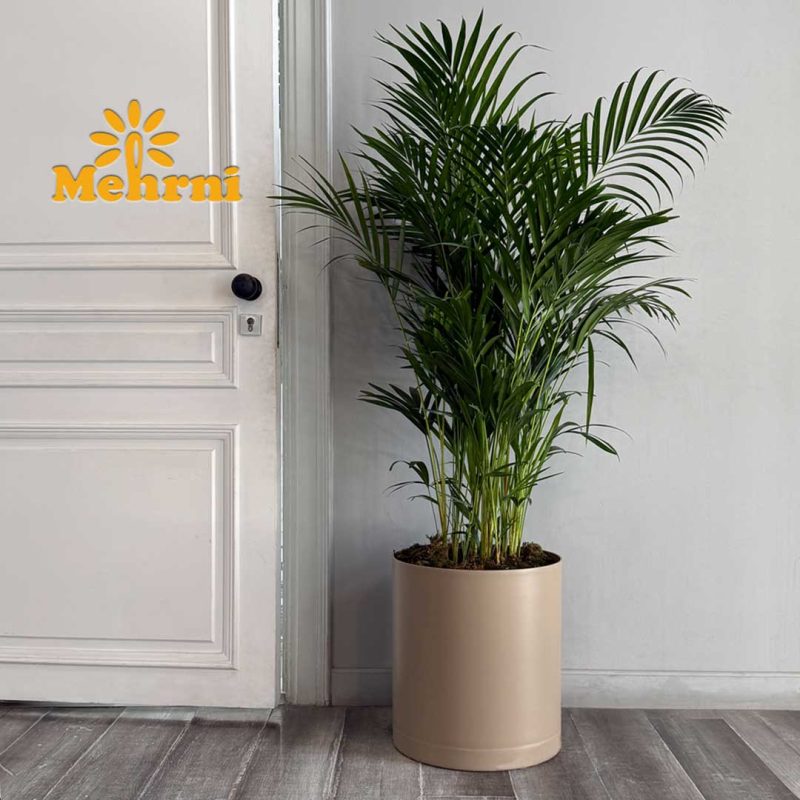 Mica Cylindrical Planter, 40 cm Opening 103/40B
