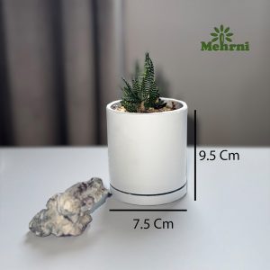 گلدان استوانه 103/7.5B
