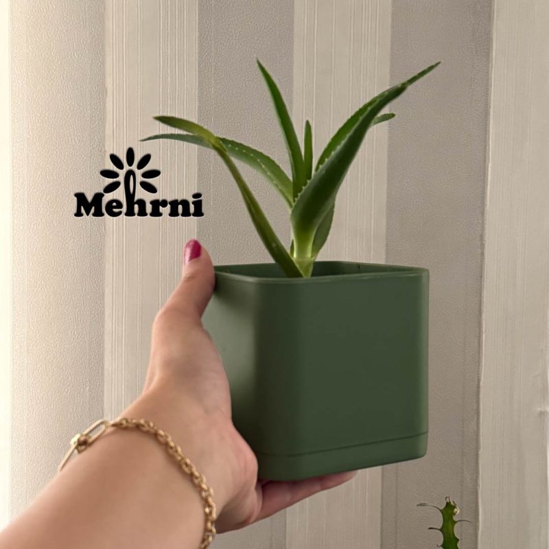 Cube pot, 10 cm opening (Code 104/10)