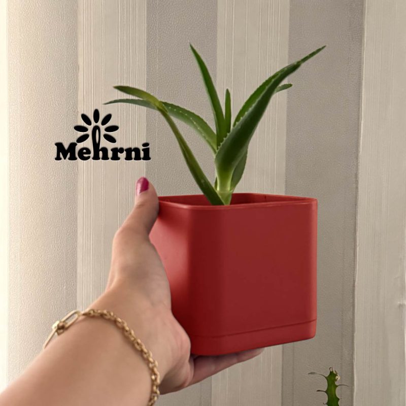 Cube pot, 10 cm opening (Code 104/10)