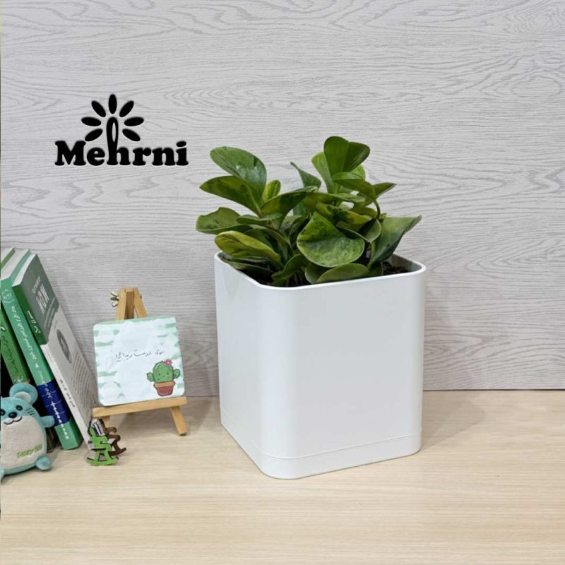 Cubic pot 20 cm opening (104/20)