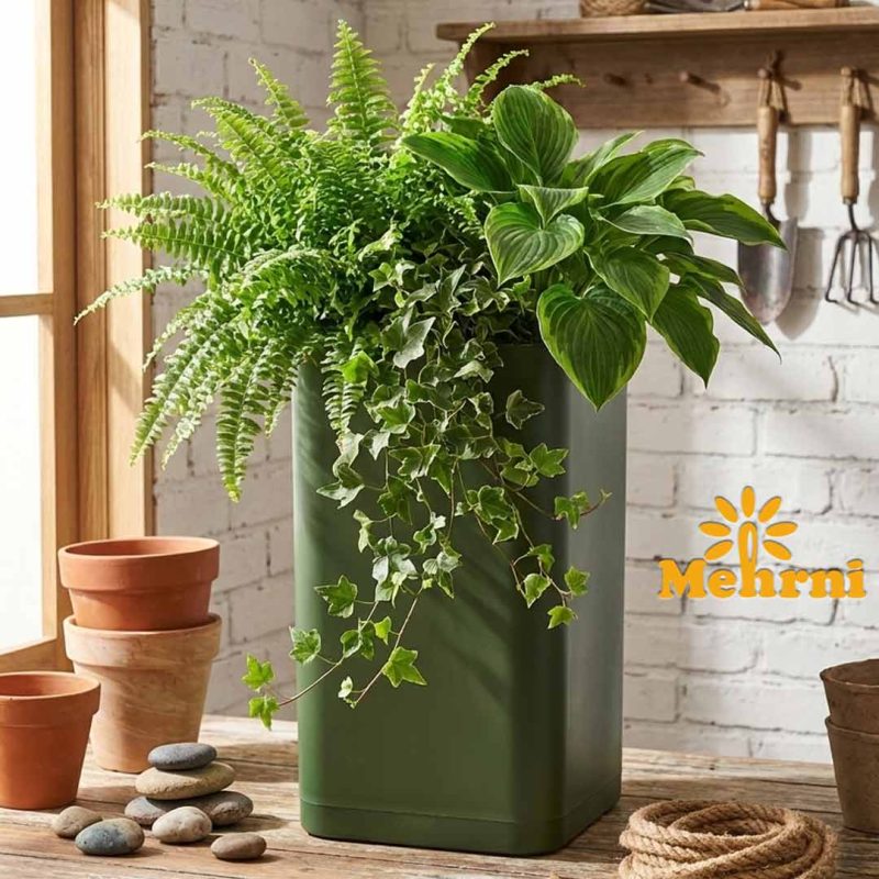 Tall cubic pot 124/20