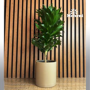 گلدان استوانه دهنه 30 سانتیمتر (103/30B)